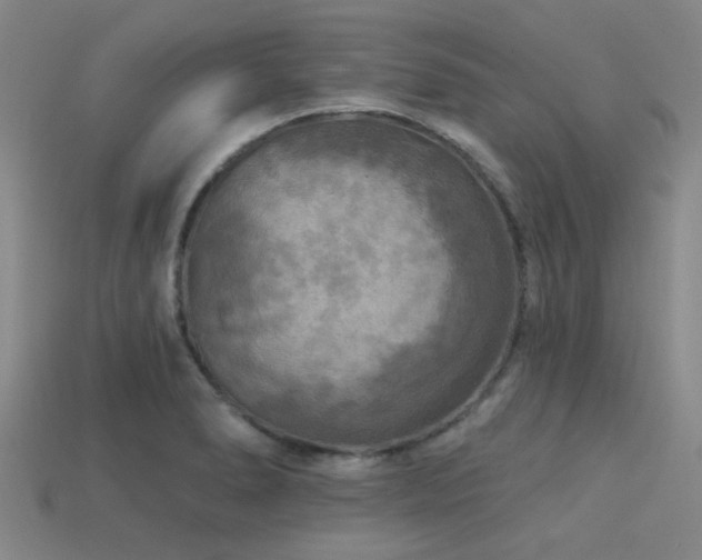 X0000113341278200909151124