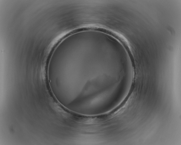 X0000113341279200909151124