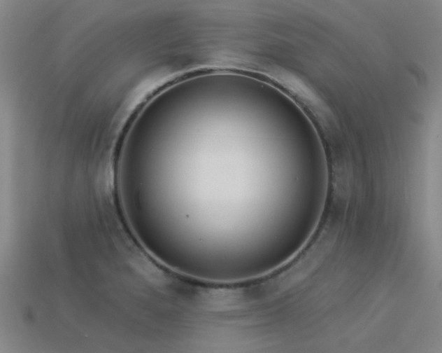 X0000113341280200909151124