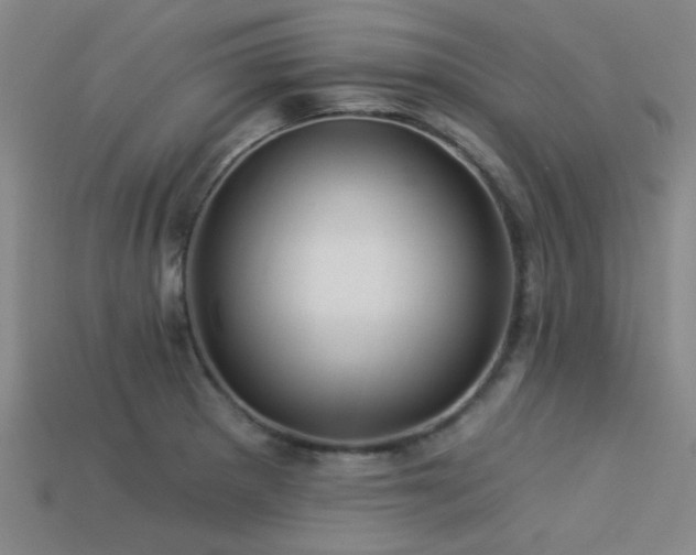 X0000113341281200909151124