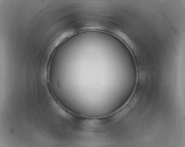 X0000113341282200909151124