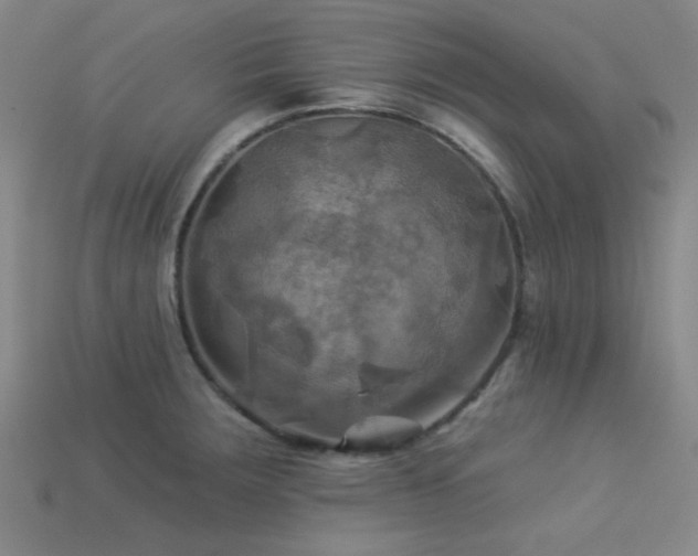 X0000113341283200909151124