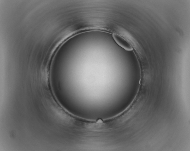 X0000113341284200909151124