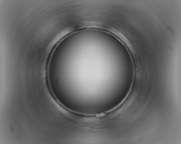 X0000113341285200909151124