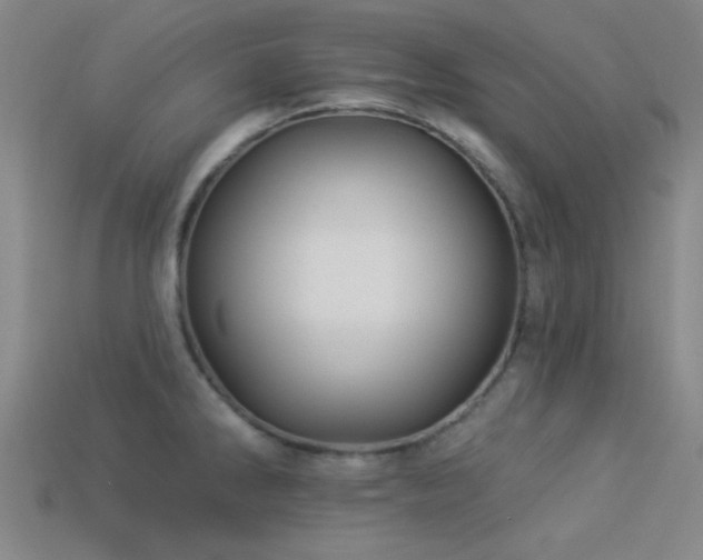X0000113341286200909151124