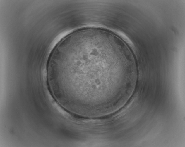 X0000113341287200909151124