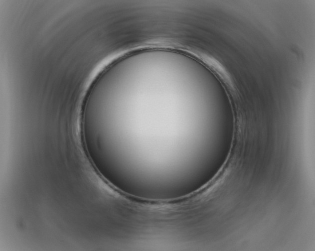 X0000113341288200909151123