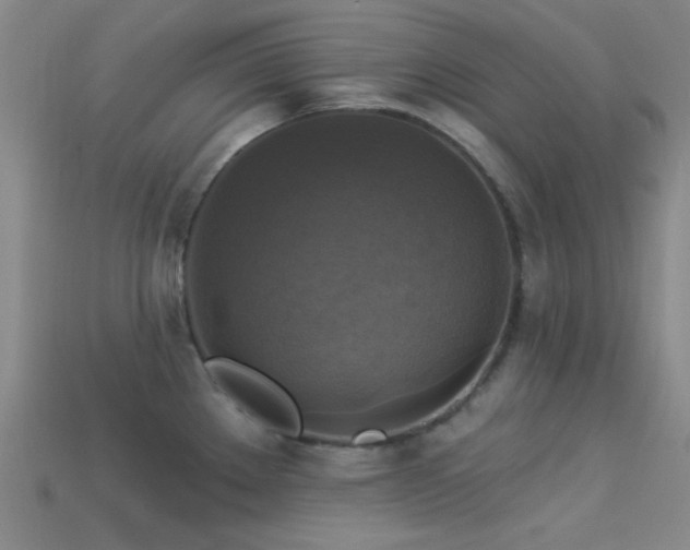 X0000113341289200909151123