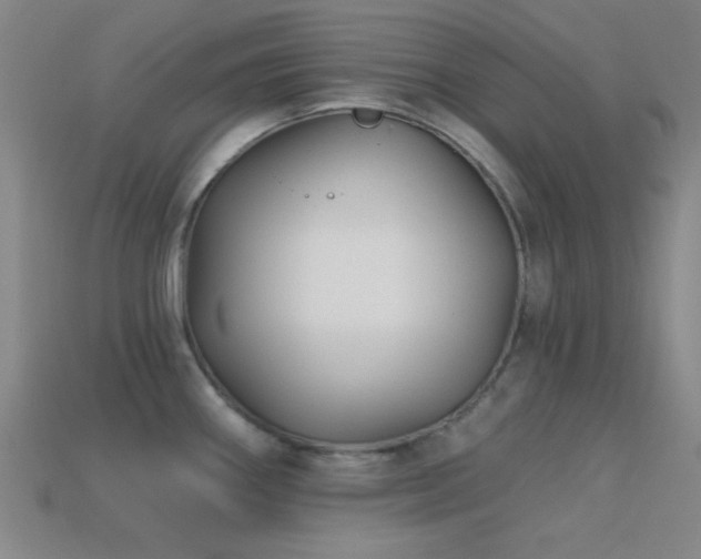 X0000113341290200909151123