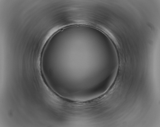 X0000113341291200909151123