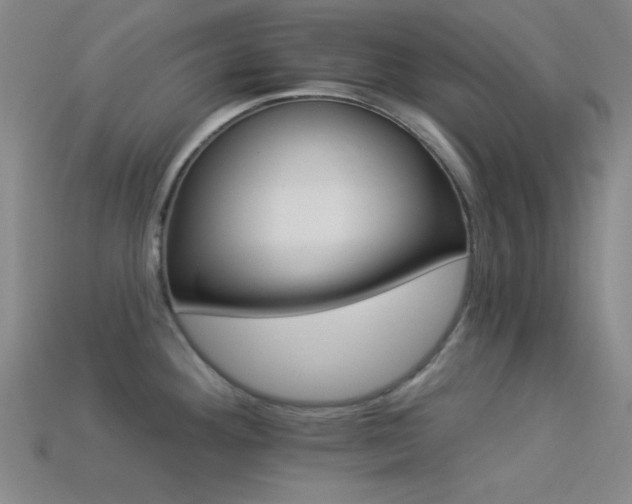 X0000113341292200909151123
