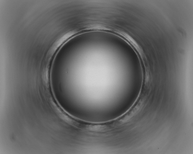 X0000113341293200909151123