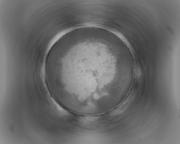 X0000113341294200909151123