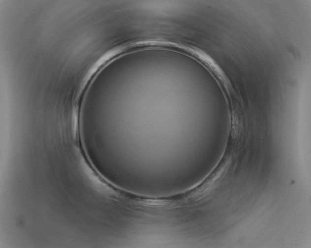 X0000113341295200909151123