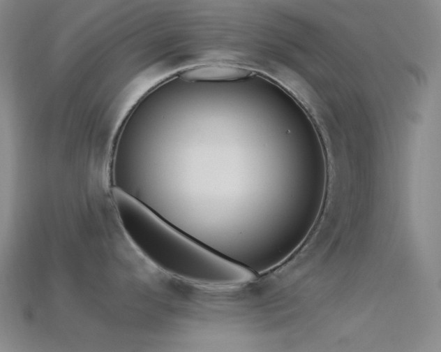 X0000113341296200909151123