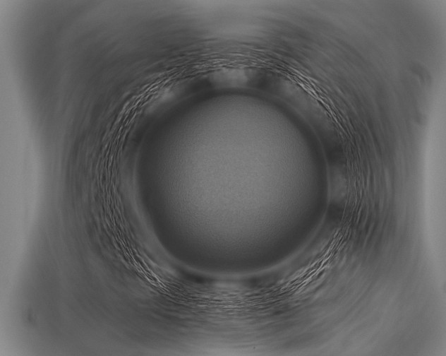 X0000113341297200909151123