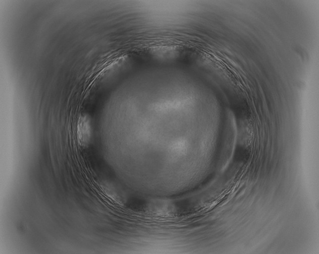 X0000113341298200909151123