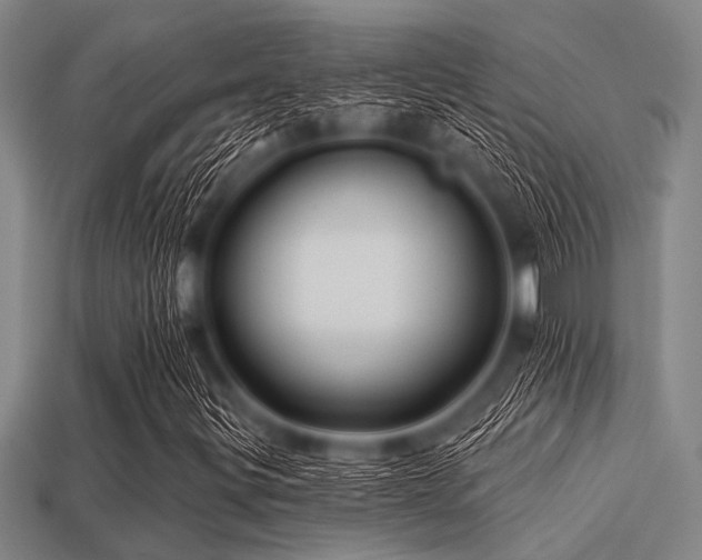 X0000113341299200909151123