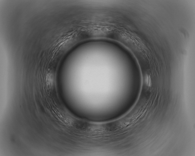 X0000113341300200909151123