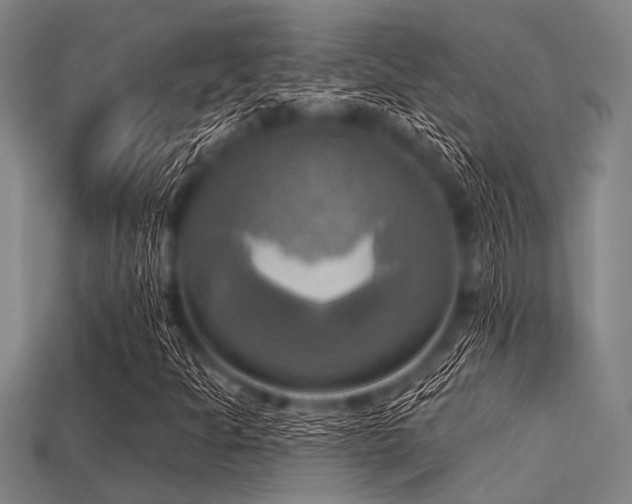 X0000113341301200909151123