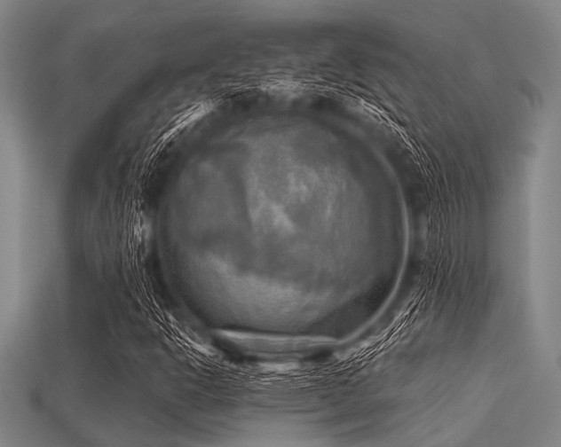 X0000113341302200909151123