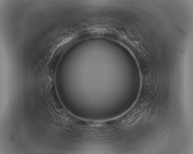 X0000113341303200909151123