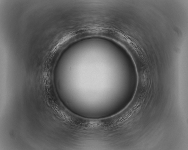 X0000113341304200909151123