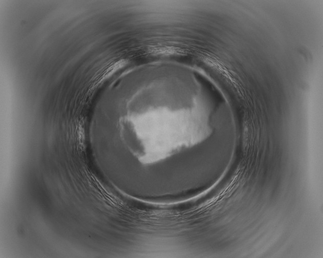X0000113341305200909151123