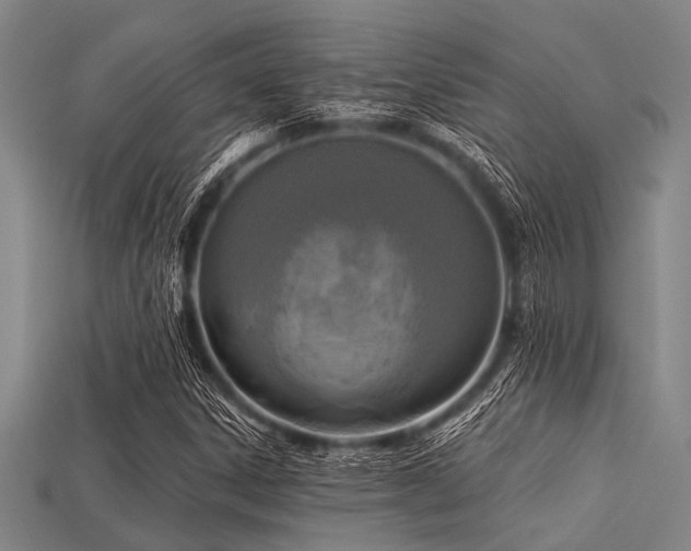 X0000113341306200909151123