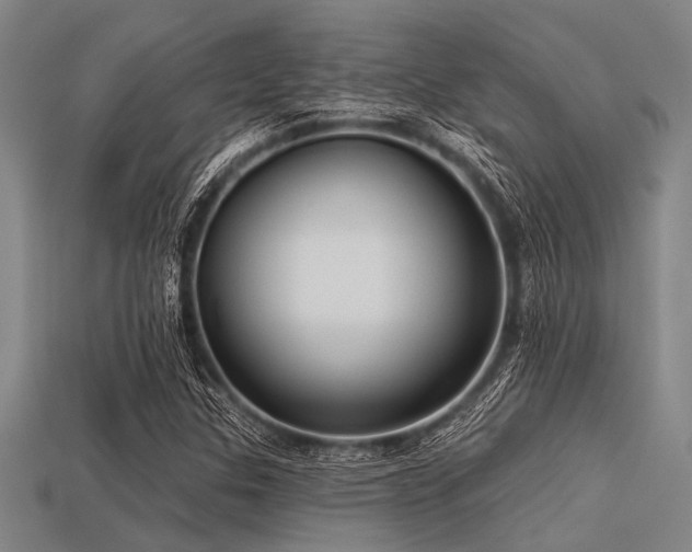 X0000113341307200909151123