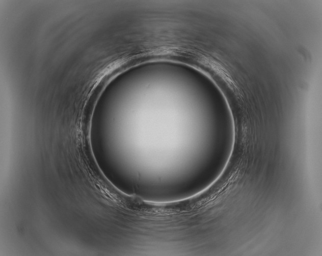 X0000113341308200909151123