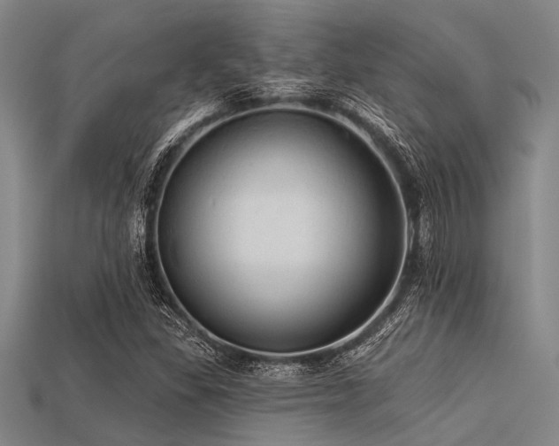 X0000113341309200909151123