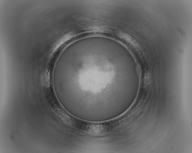 X0000113341310200909151123