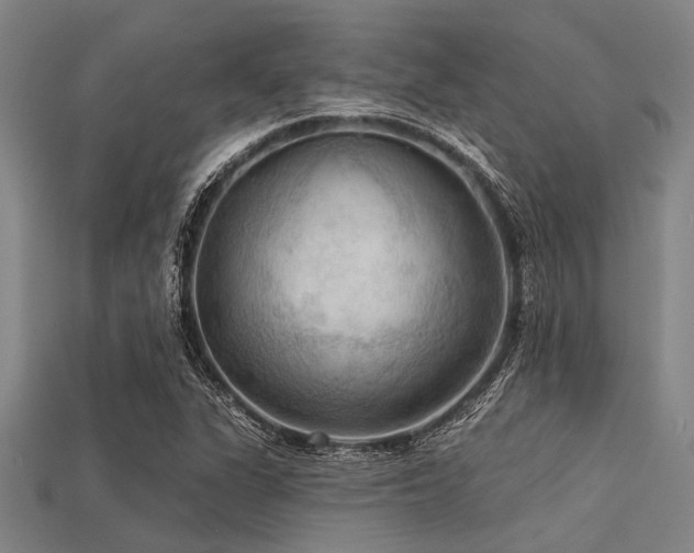 X0000113341311200909151123