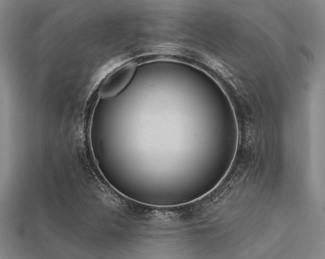 X0000113341312200909151123