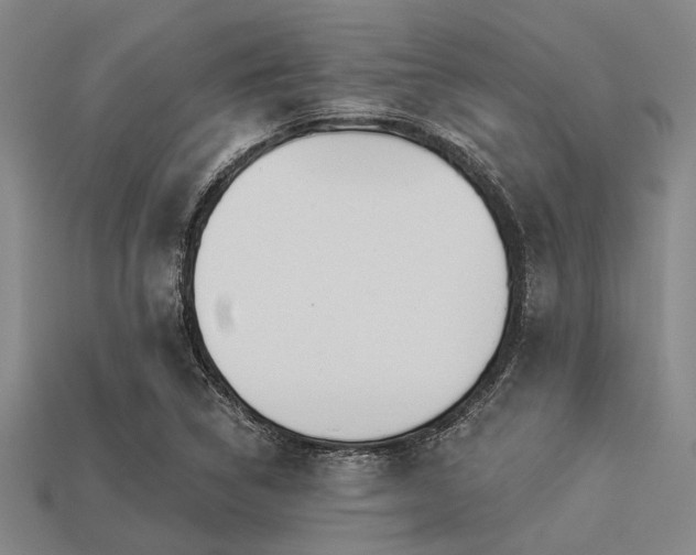 X0000113341314200909151123