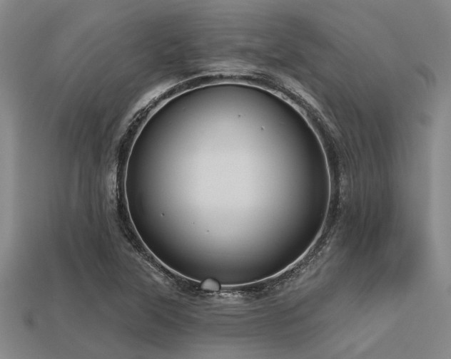 X0000113341315200909151123