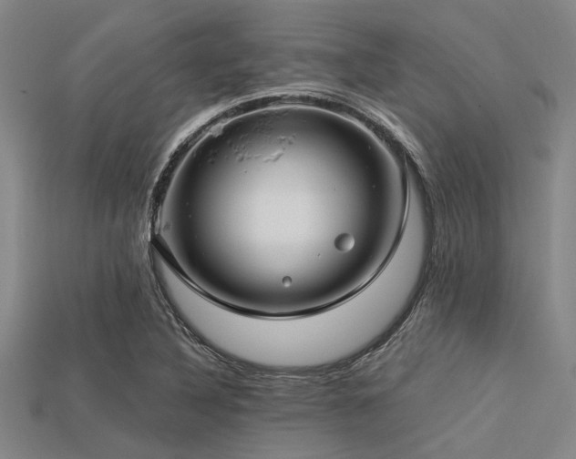 X0000113341316200909151123