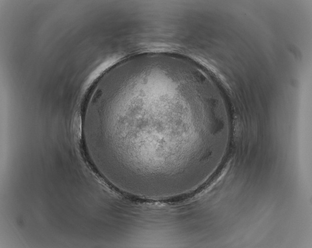 X0000113341317200909151123