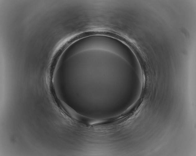X0000113341319200909151123