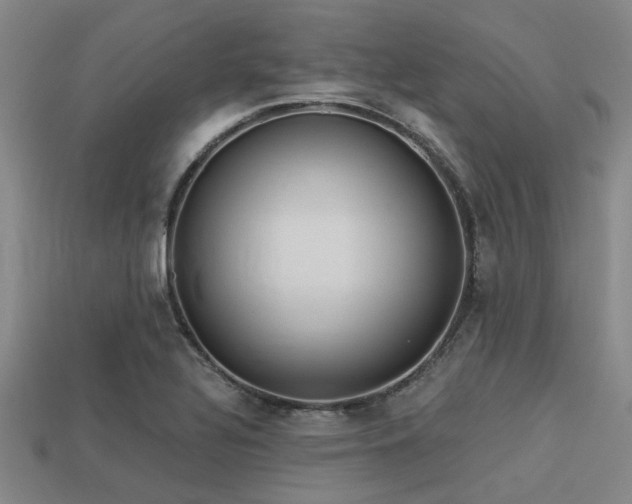 X0000113341320200909151123