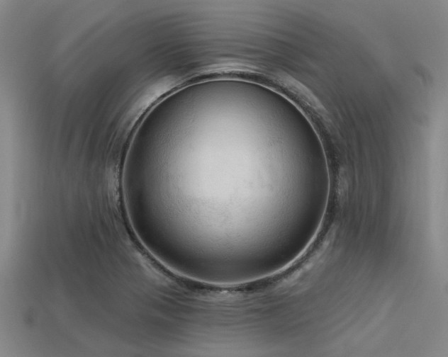 X0000113341321200909151123