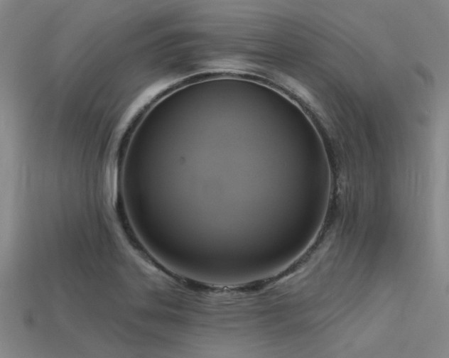 X0000113341323200909151123