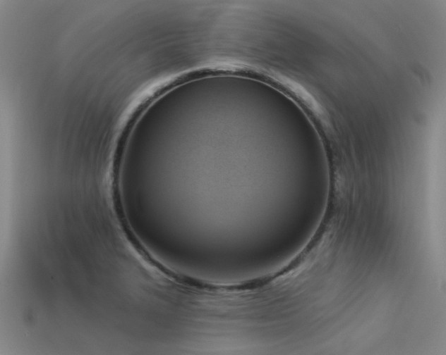 X0000113341327200909151123