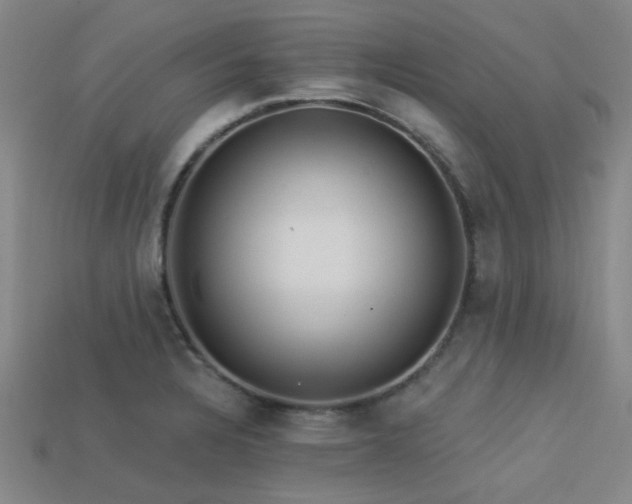 X0000113341328200909151123