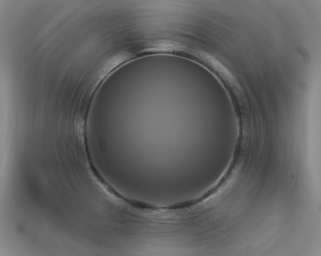 X0000113341329200909151123