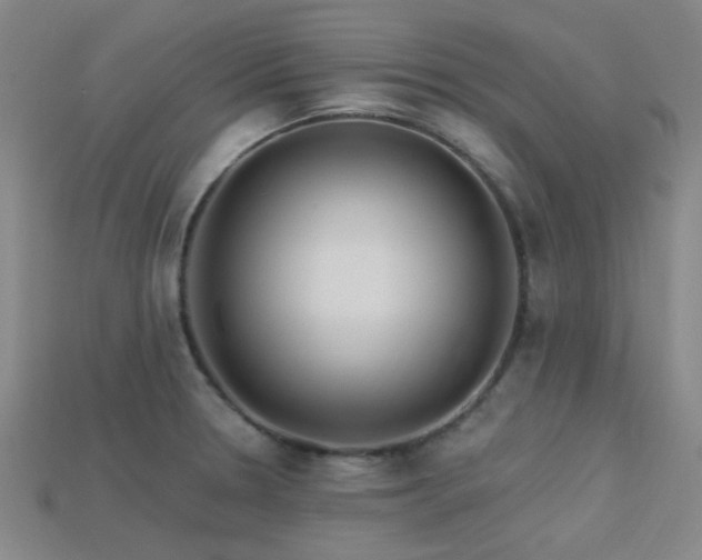 X0000113341330200909151123