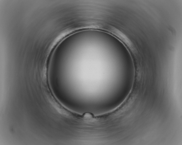 X0000113341332200909151123