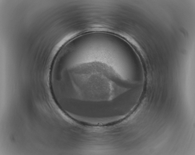 X0000113341333200909151123