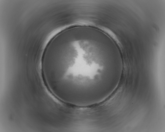 X0000113341335200909151123